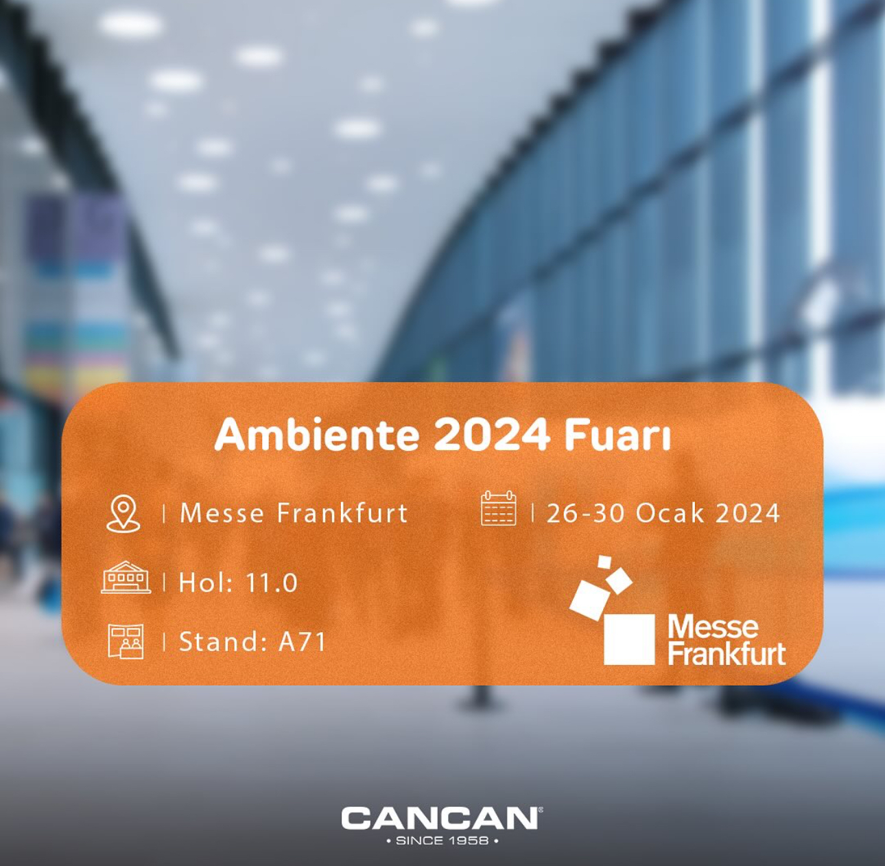 AMBIENTE 2024